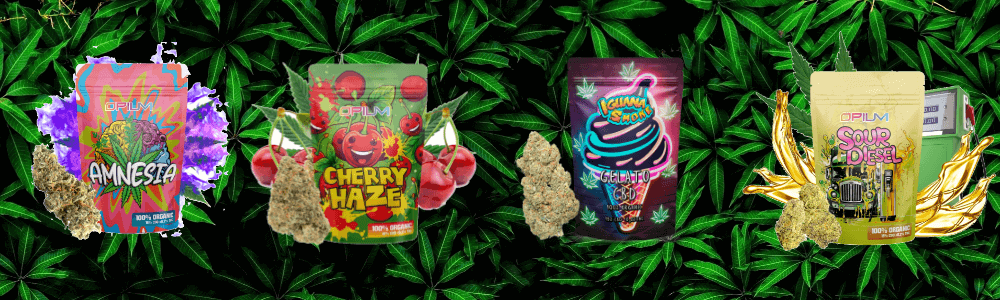 Flores de CBD Opium en variedades Amnesia, Cherry Haze, Gelato y Sour Diesel, con fondo de hojas de cannabis